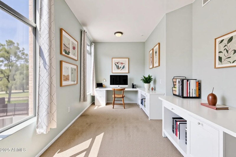 Oversized Guest Bedroom
