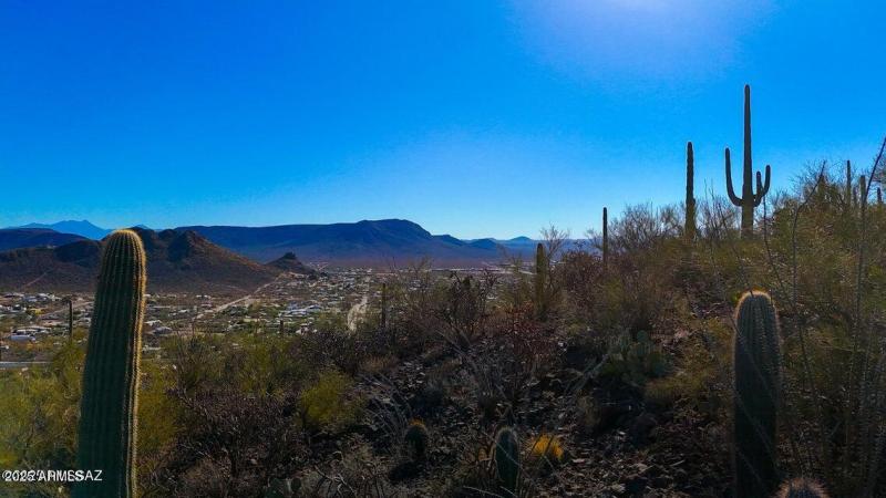 20250130032430870399000000-o (1)