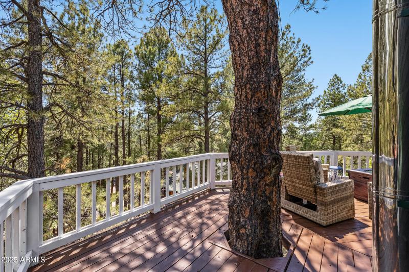 Nestled in the pines