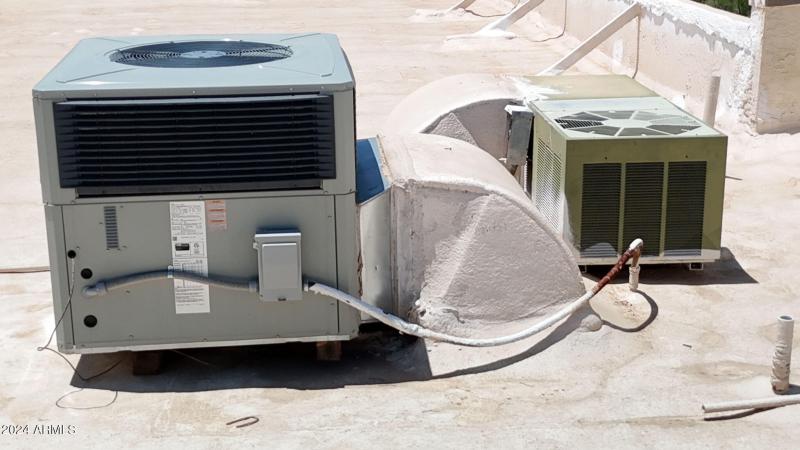 36-web-or-mls-VYJP4803