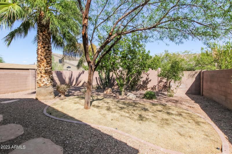 014-photo-rear-view-7546575