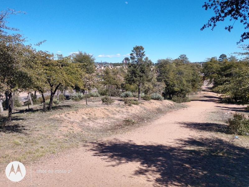 IMG_20200304_141907214_HDR