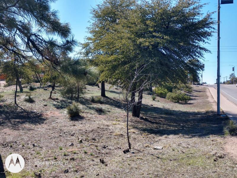 IMG_20200304_142336047_HDR