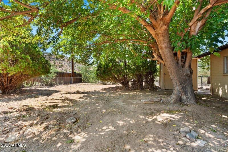 16-Backyard with Storage