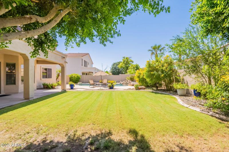 82-web-or-mls-Wildflower-82