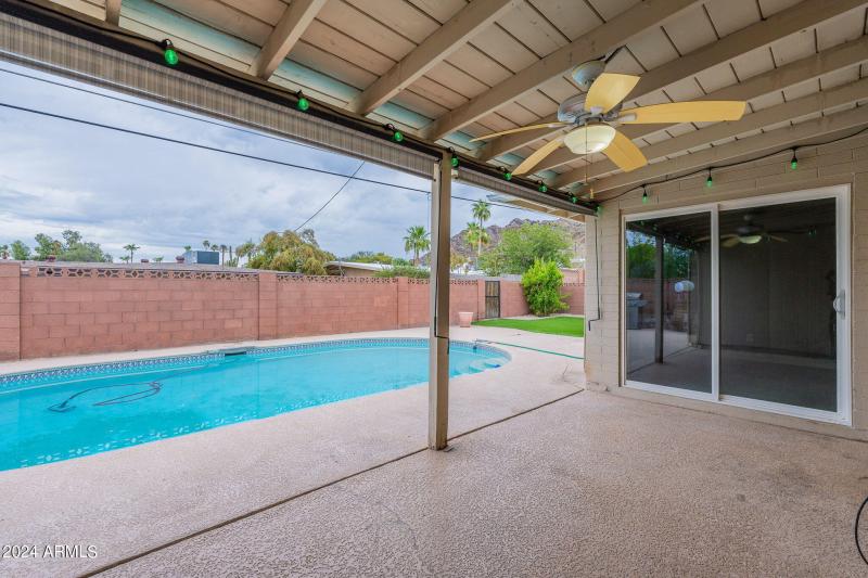 39-web-or-mls-Orchid-39