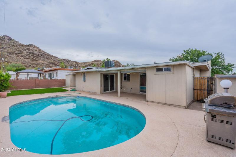 41-web-or-mls-Orchid-41