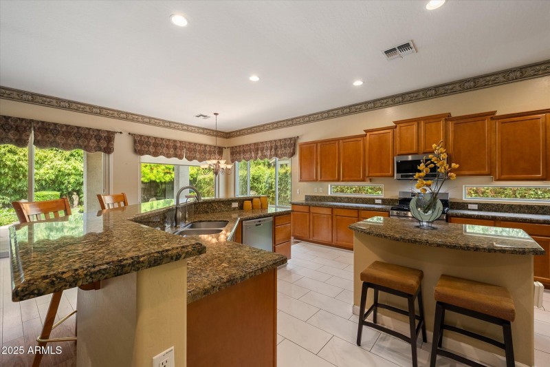 windows view of back yard