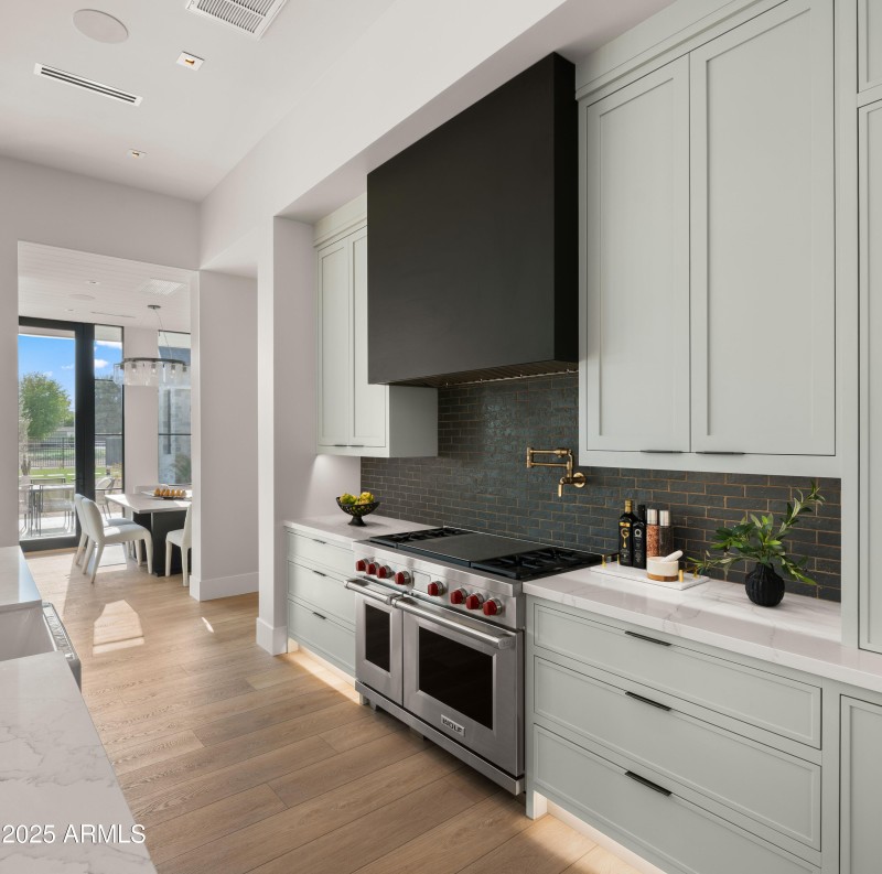 Wolf Gas Range & Viking Hood