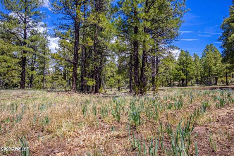 20230525013817682861000000-o