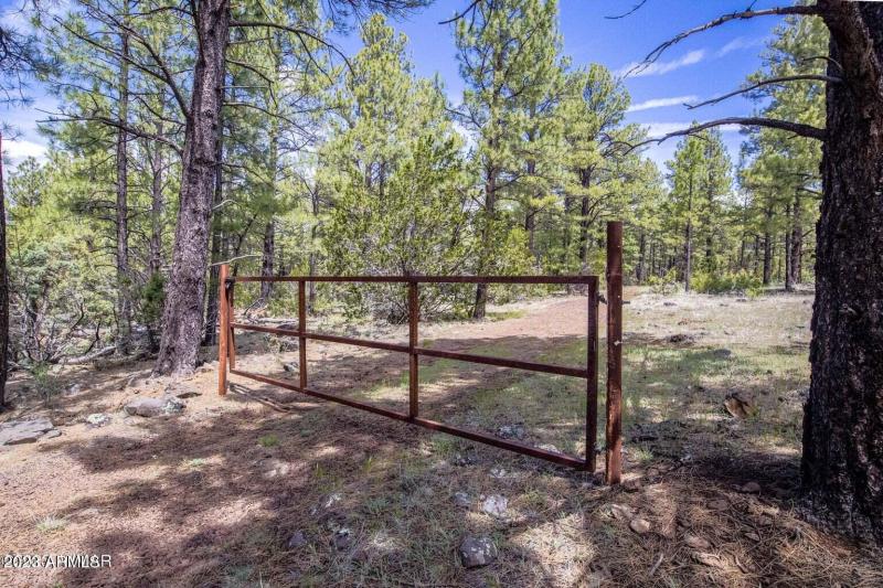 20230525013924485366000000-o