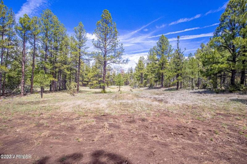 20230525013943054792000000-o