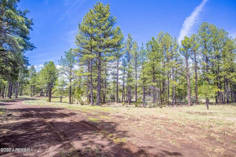 20230525013955854230000000-o