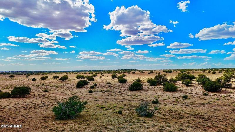 20250815021539905119000000-o