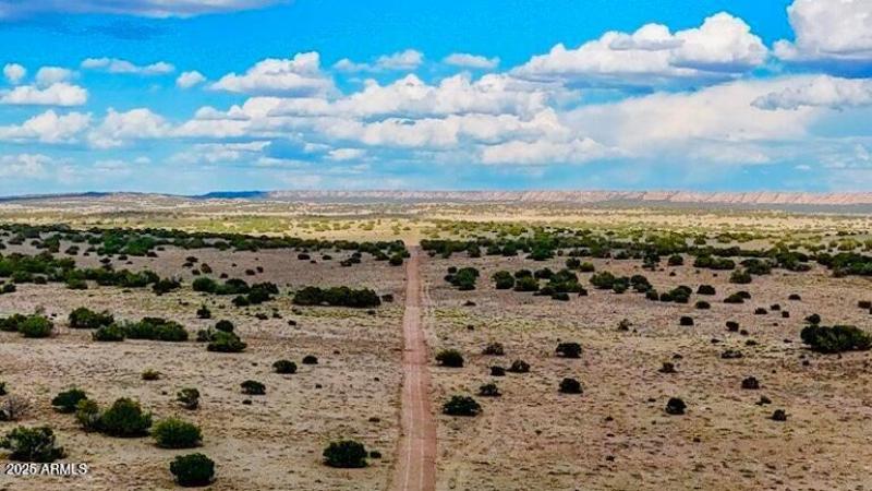 20250815021747539792000000-o