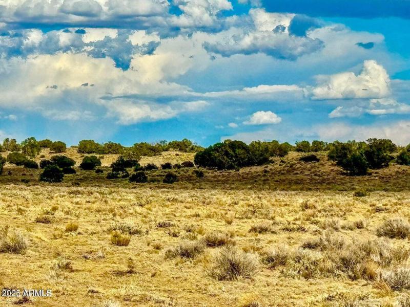 20250815025339153657000000-o