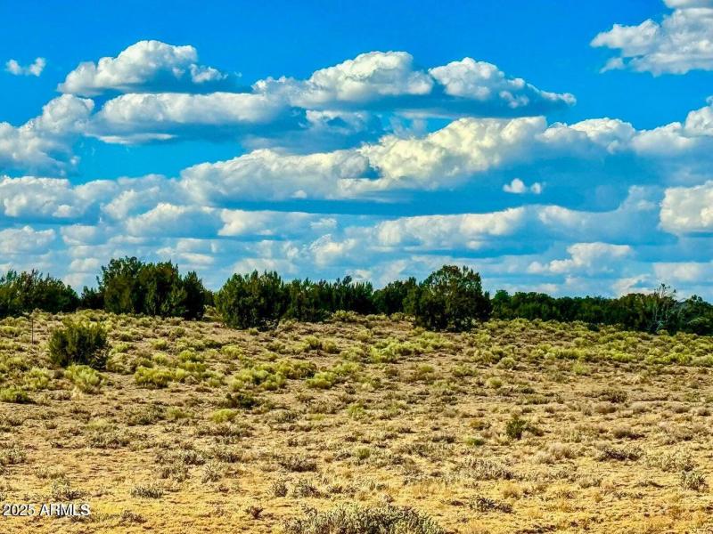 20250815025219246745000000-o