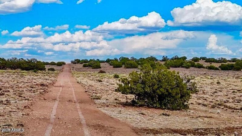 20250815022037495728000000-o