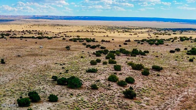 20250815021709105571000000-o