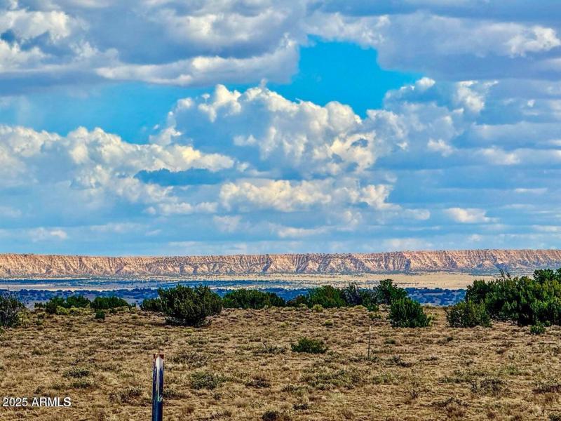 20250815025447514186000000-o