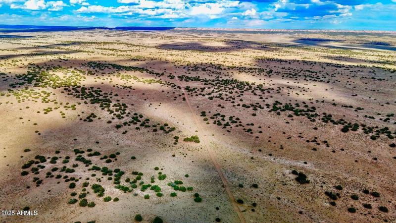 20250815021558854696000000-o