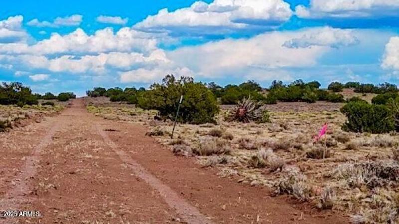 20250815022119881669000000-o