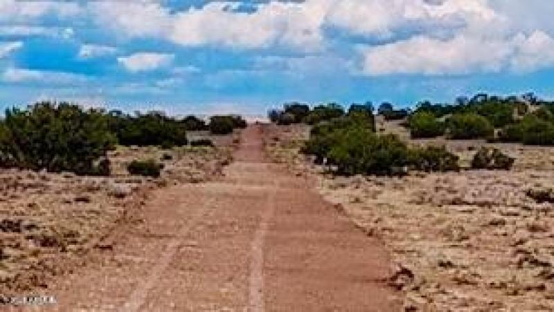 20250815021952351920000000-o