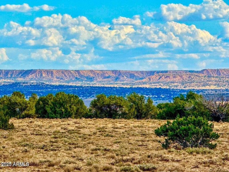 20250815022234849303000000-o