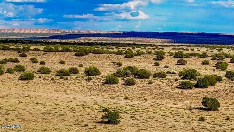 20250815022102622063000000-o