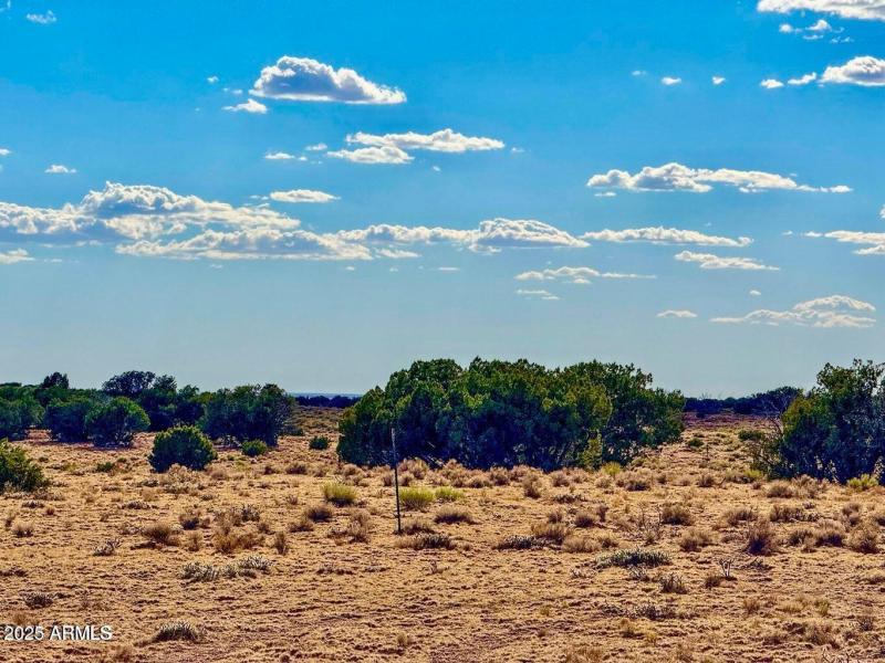 20250815022620458951000000-o