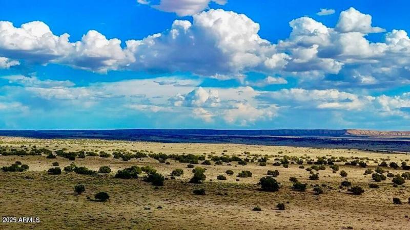 20250815021800421993000000-o