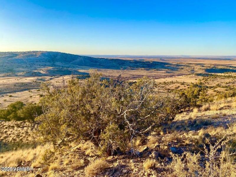 20250814075206679735000000-o