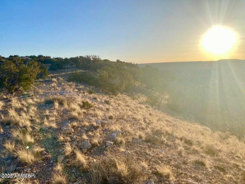 20250814075207127840000000-o