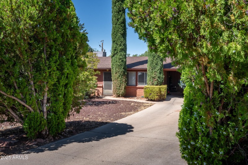 Treed In For Privacy