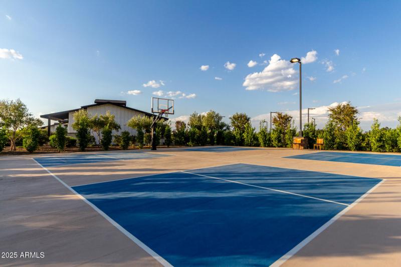 Basketball Court