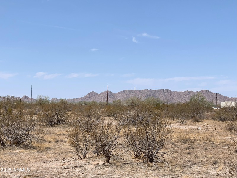 Bring Your Toys & Critters!