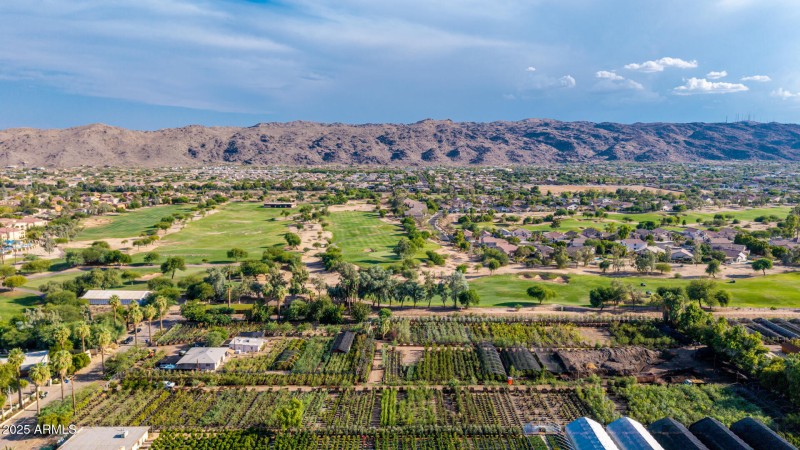 Near South Mountain Park