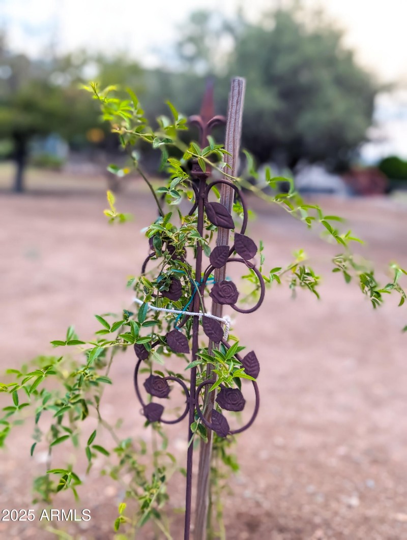 5200 Spencer Tr Camp Verde, AZ -82