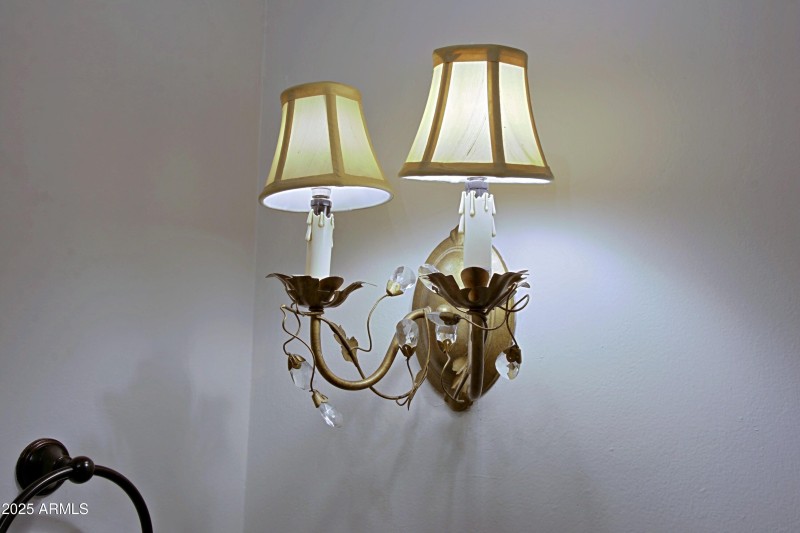 Guest bathroom lights