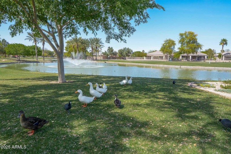 Sierra Verde Community-Lake2