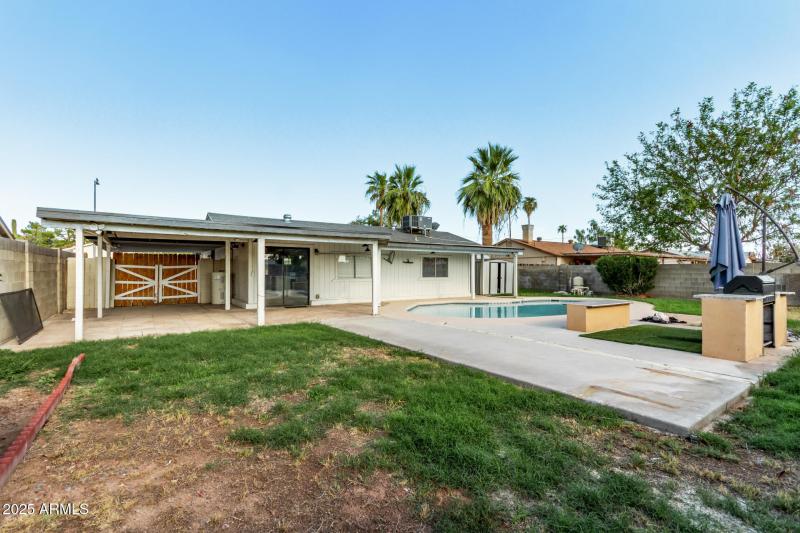 Backyard from NE corner