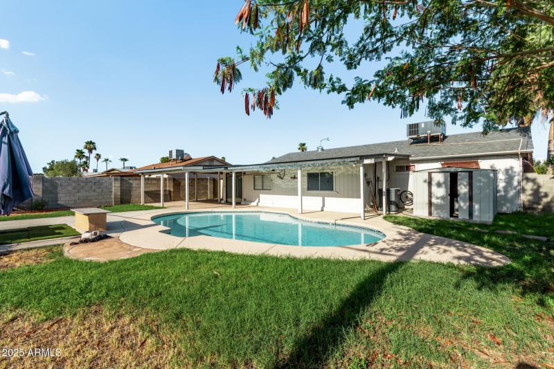 Backyard from SW Corner