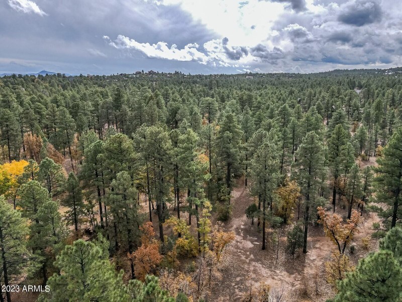 19 acres in SHow Low AZ