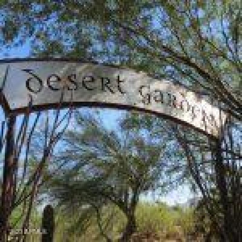 Desert Garden