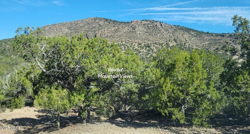 thumbnail_20250807_090618