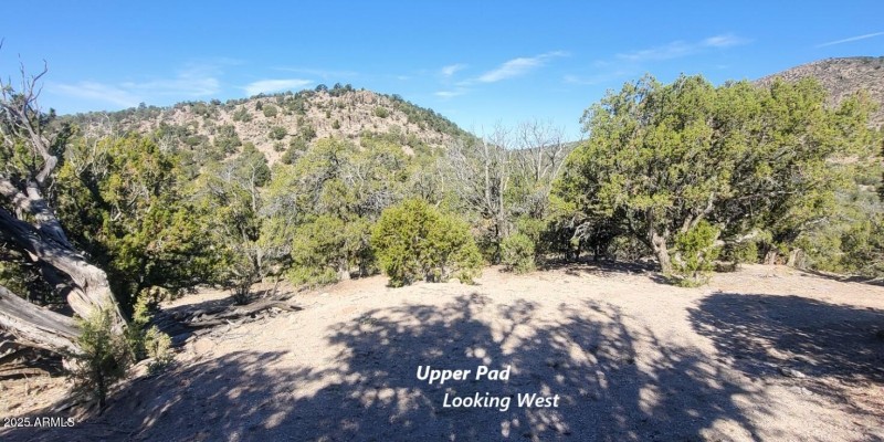 thumbnail_20250807_090658