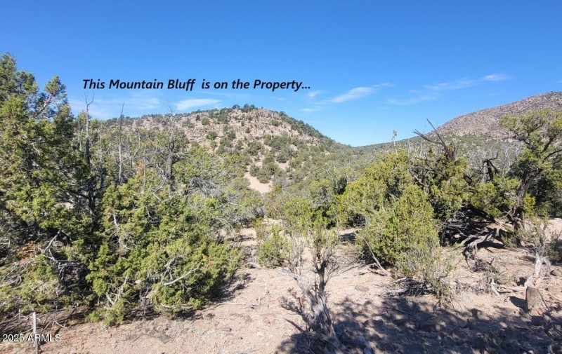 thumbnail_20250807_090851