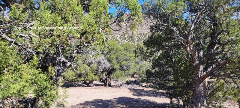 thumbnail_20250807_091144