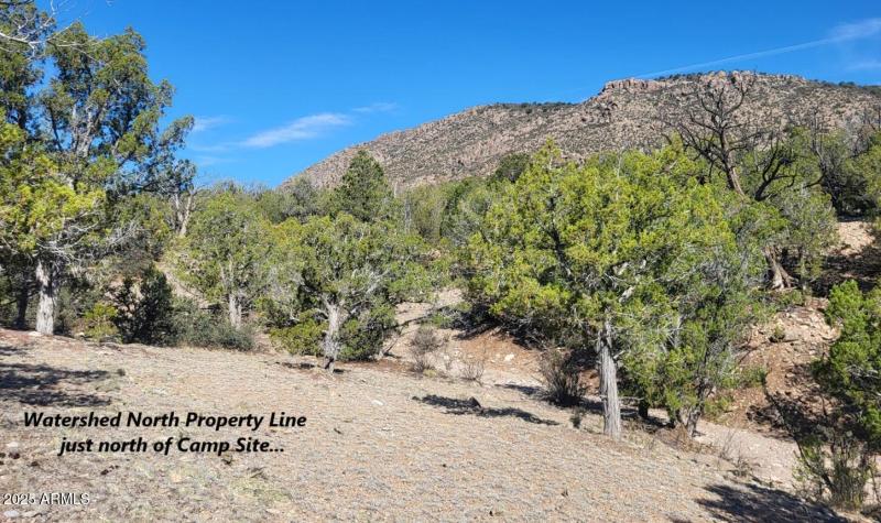 thumbnail_20250807_091412