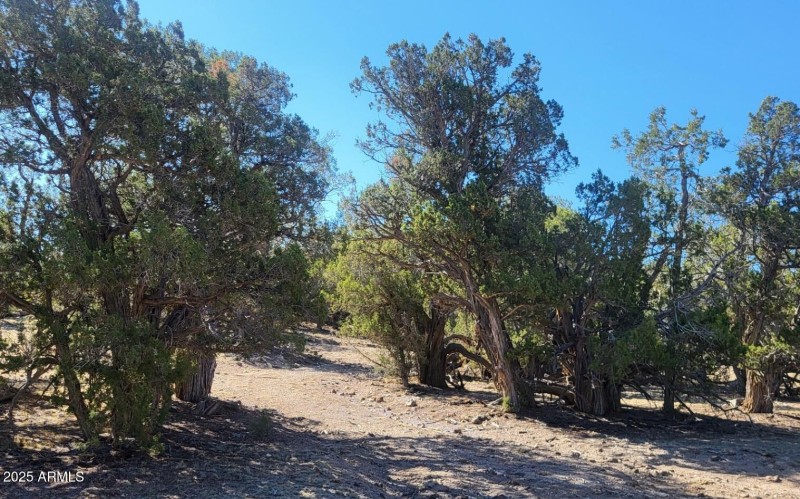 thumbnail_20250807_091515